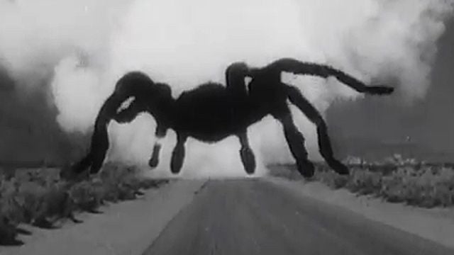 Tarantula Bande-annonce