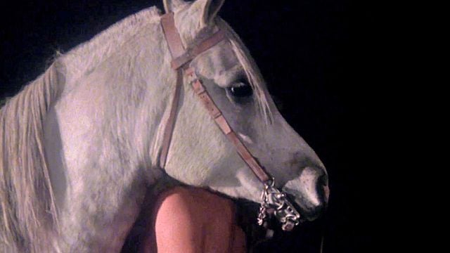 Equus Trailer
