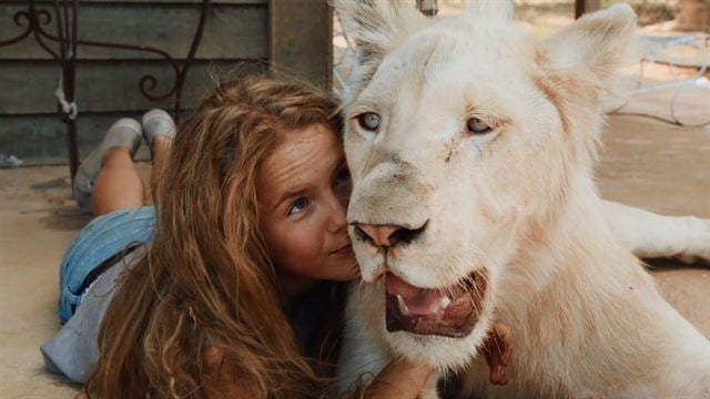 Mia et le  lion  blanc Avoir un lion  comme ami c est 