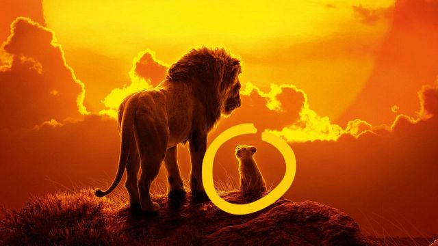 Michel &amp; Michel avaient déjà décrypté les faux raccords des classiques Disney : ils se penchent désormais sur leurs adaptations live dans une émission spéciale avec Le Roi Lion, Aladdin, Maléfique, Le Livre de la jungle, Dumbo, Alice au pays des merveilles...