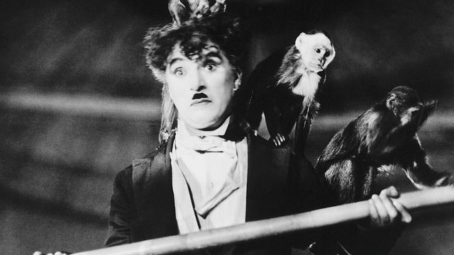 "Mesdames et messieurs, préparez-vous pour le spectacle le plus incroyable, le plus drôle et le plus époustouflant que vous ayez jamais vu !" - Top 5 des cirques.