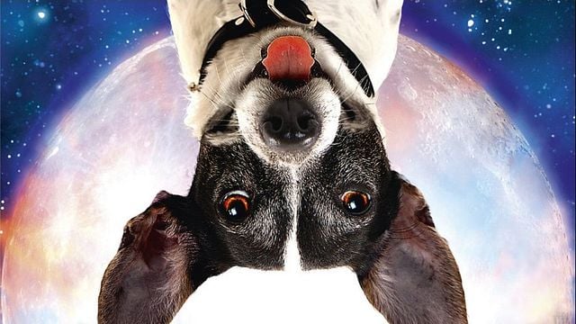 Un chien croc bien Bande-annonce