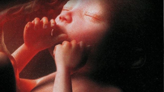 L'Odyssée de la vie Trailer