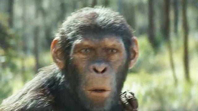 La Planète des Singes : Le Nouveau Royaume Bande-annonce