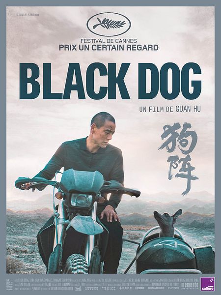 black-dog-2025-au-mers-les-bains-cin-ma-g-rard-philipe
