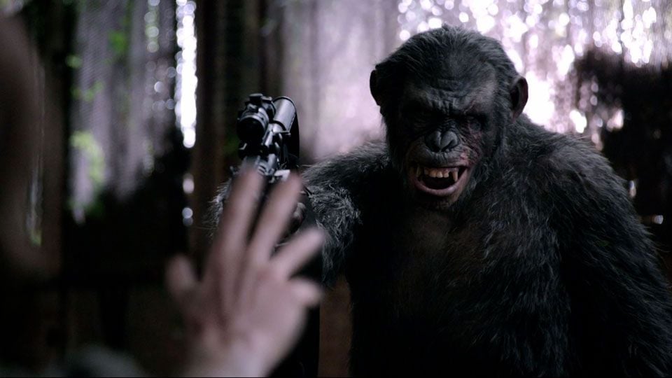 Extrait du film La Planète des singes l