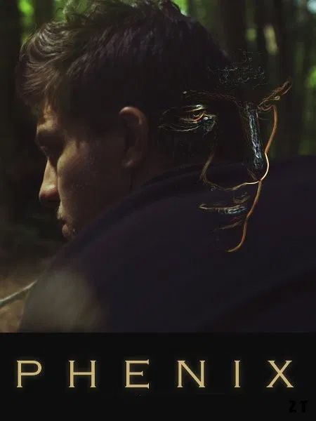Phoenix Film 2020 Streaming Trailer du film Phénix - Phénix Bande-annonce VF - AlloCiné