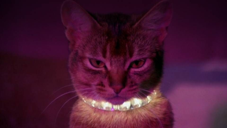 Trailer Du Film Le Chat Qui Vient De L Espace Le Chat Qui Vient De L Espace Bande Annonce Vo Allocine Trailer Du Film Le Chat Qui Vient De L Espace Le Chat Qui Vient De L Espace Bande Annonce Vo Allocine